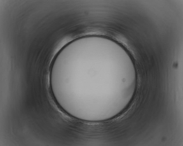 X0000097811274200803140750