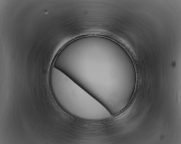 X0000097811275200803140750