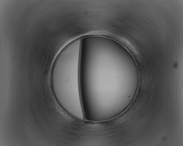 X0000097811276200803140750