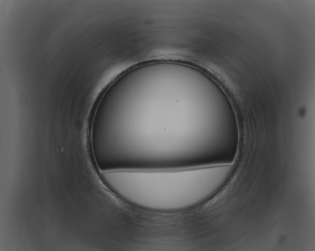 X0000097811277200803140750