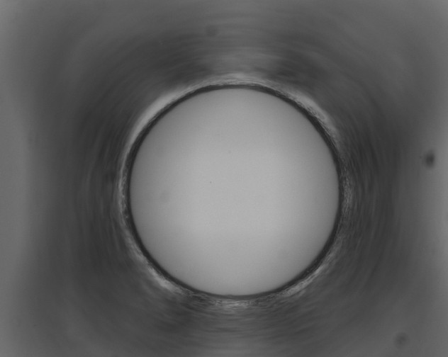 X0000097811278200803140750