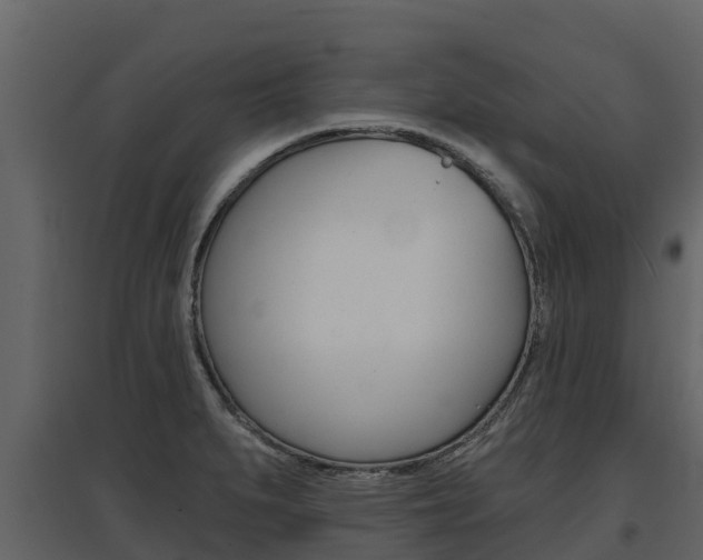 X0000097811279200803140750