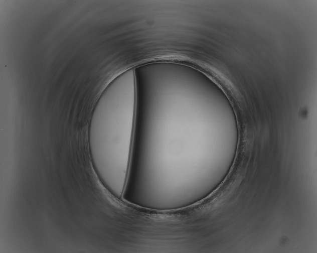 X0000097811281200803140750
