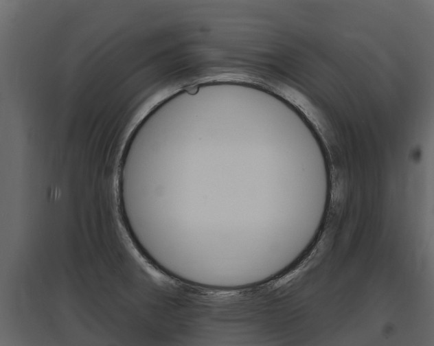 X0000097811282200803140750