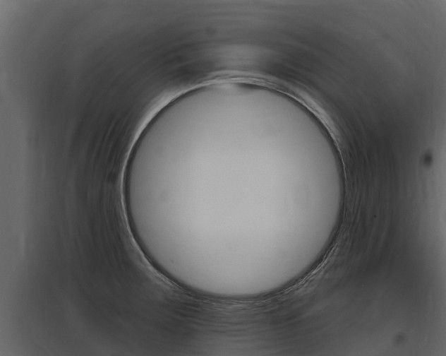 X0000097811283200803140750