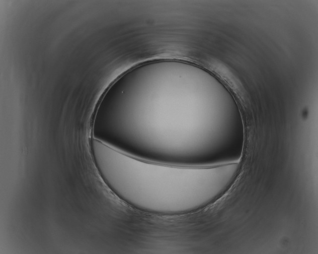 X0000097811284200803140750