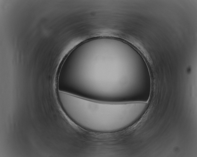 X0000097811285200803140750