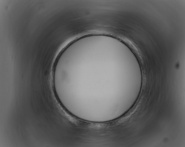 X0000097811286200803140750