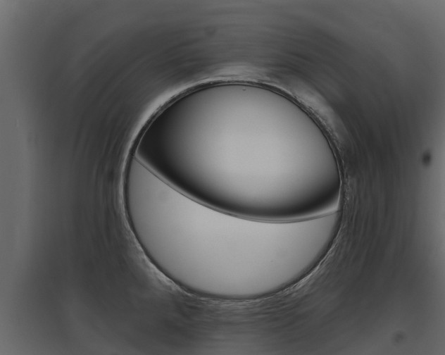 X0000097811288200803140750