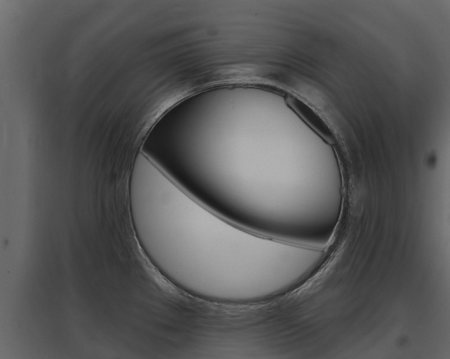 X0000097811289200803140750