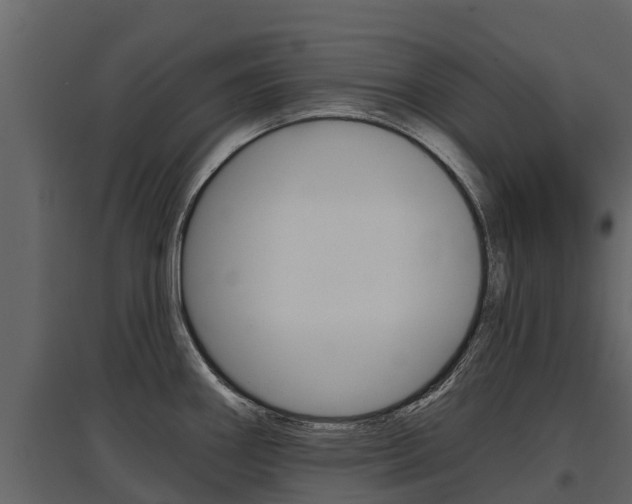 X0000097811290200803140750