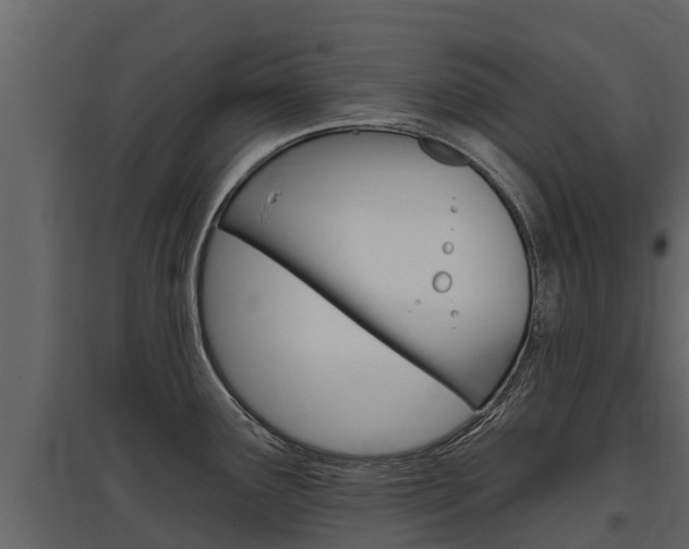 X0000097811291200803140750