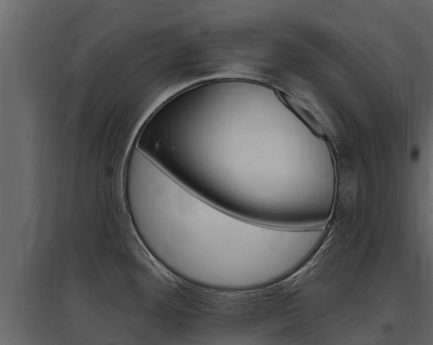 X0000097811292200803140750