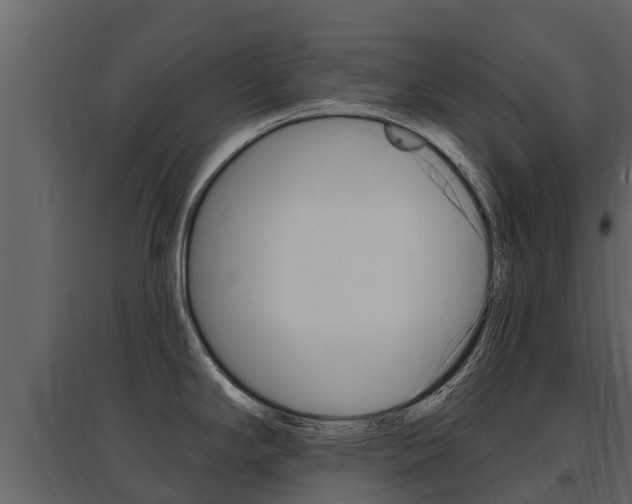 X0000097811294200803140750