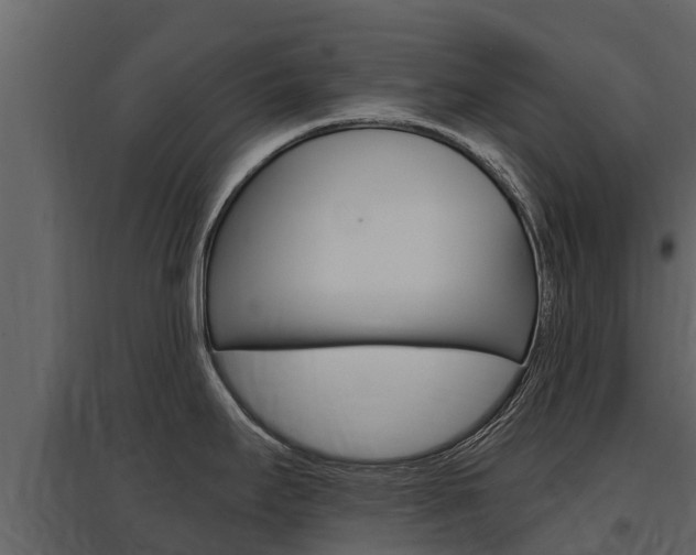 X0000097811295200803140750