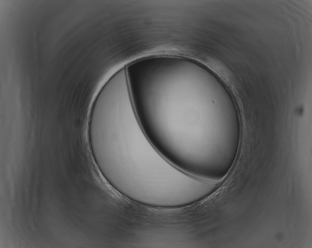 X0000097811296200803140750