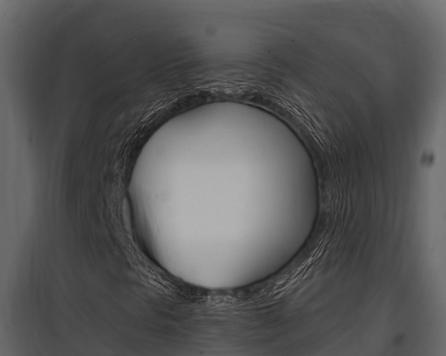 X0000097811297200803140749