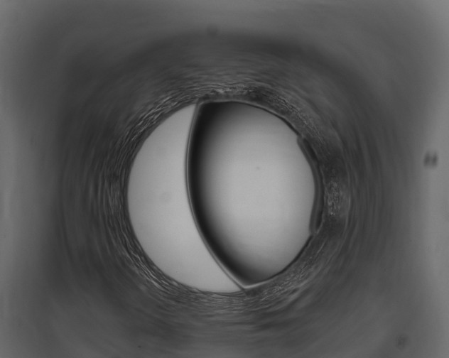 X0000097811298200803140749