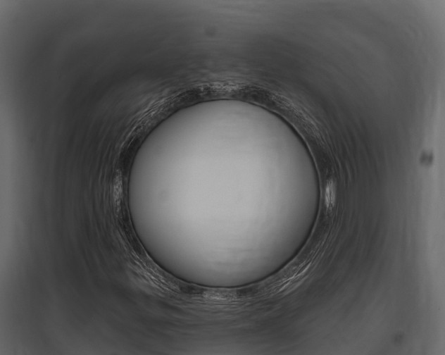 X0000097811299200803140749