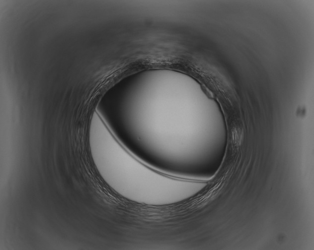 X0000097811300200803140750