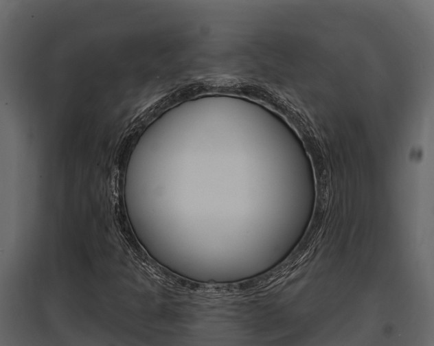 X0000097811301200803140750