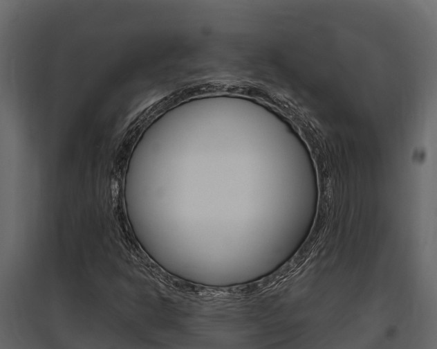 X0000097811302200803140750