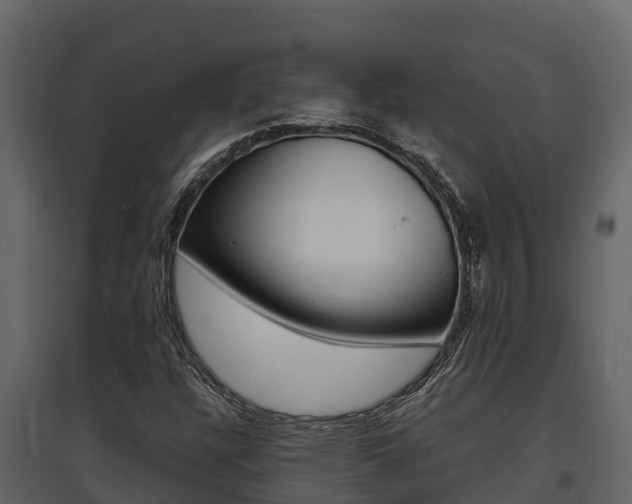 X0000097811304200803140750