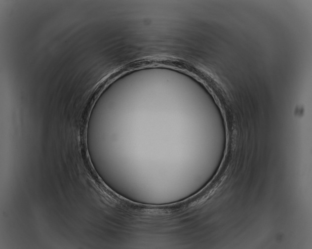 X0000097811305200803140750