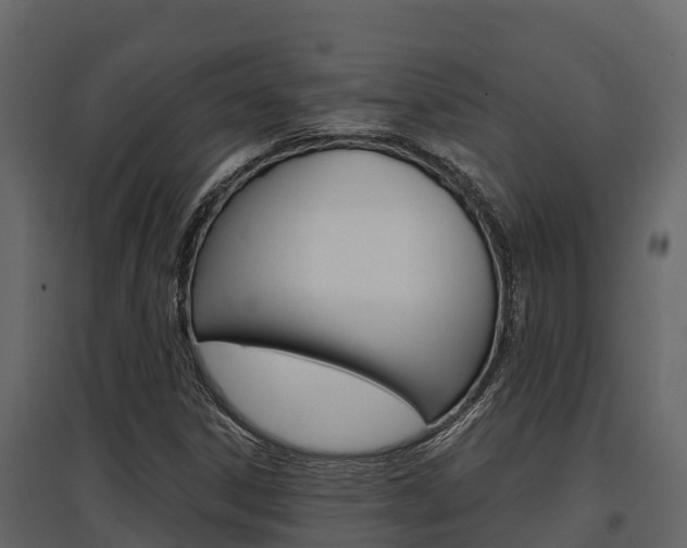 X0000097811306200803140750