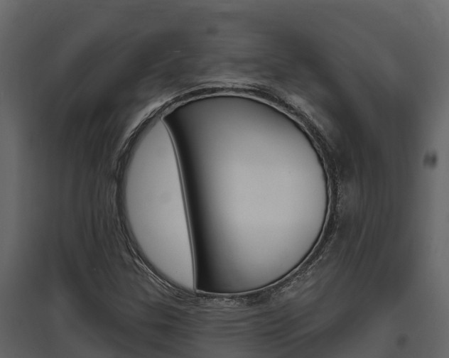 X0000097811307200803140750