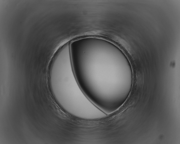 X0000097811308200803140750