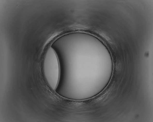 X0000097811309200803140750