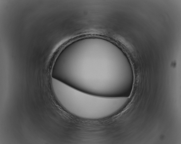 X0000097811310200803140750