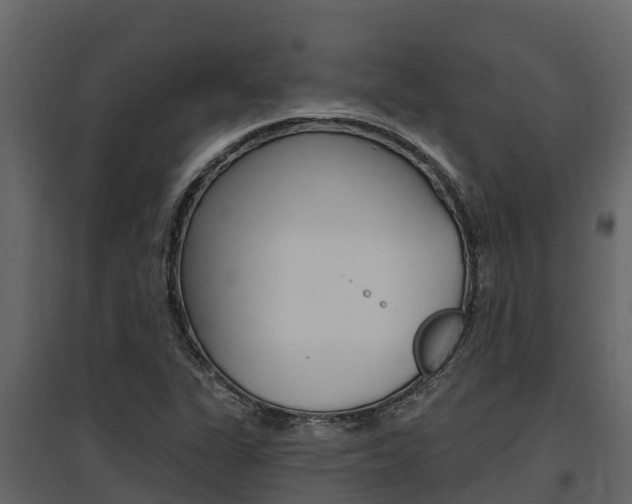 X0000097811311200803140750
