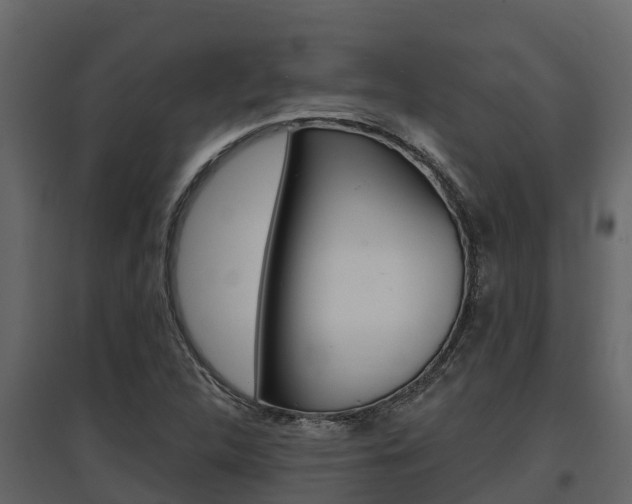 X0000097811312200803140750