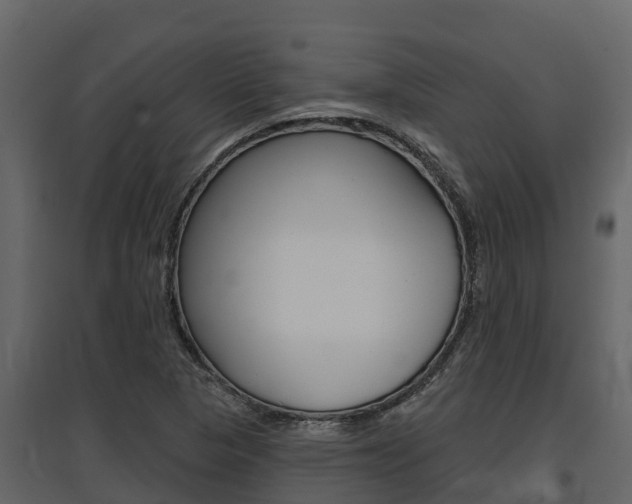 X0000097811313200803140750