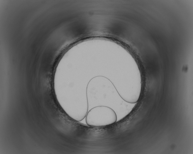 X0000097811314200803140750