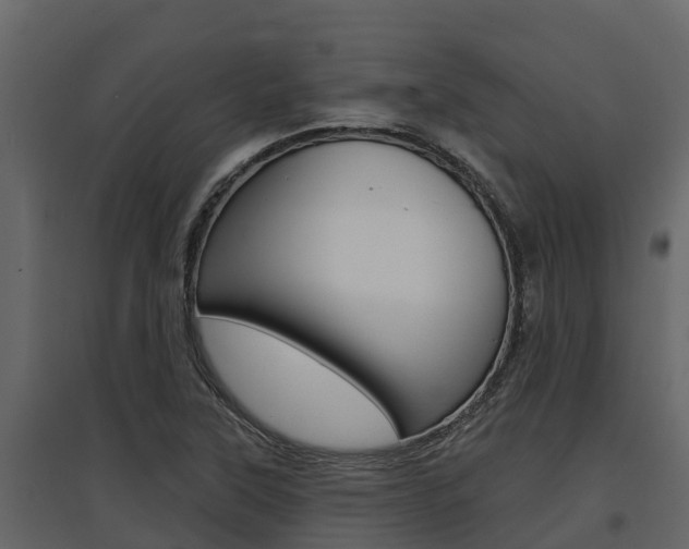 X0000097811315200803140750