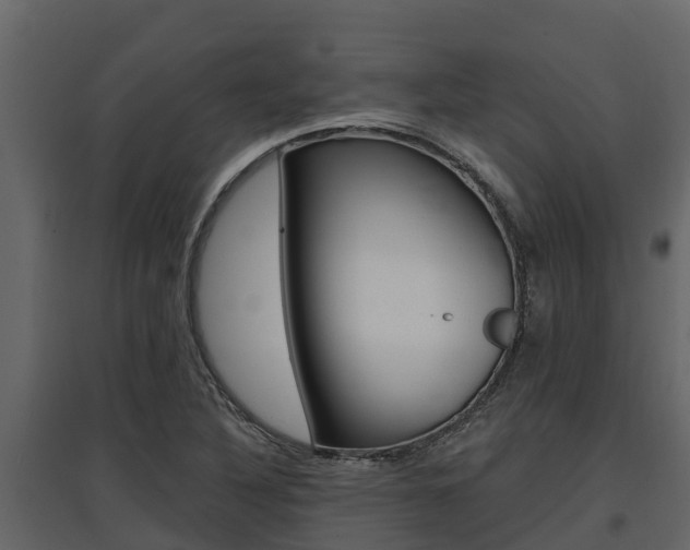 X0000097811316200803140750