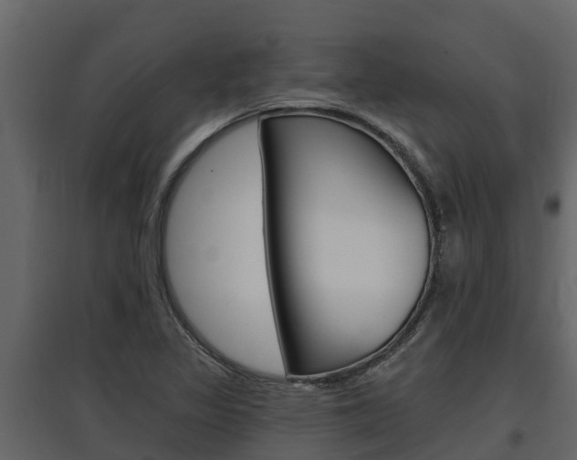 X0000097811317200803140750
