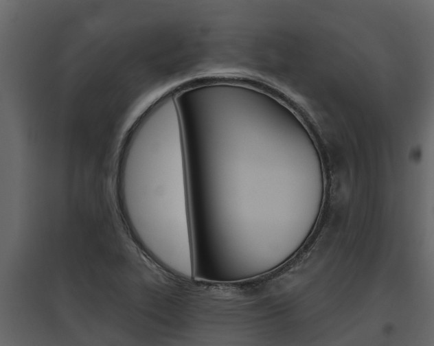X0000097811319200803140750