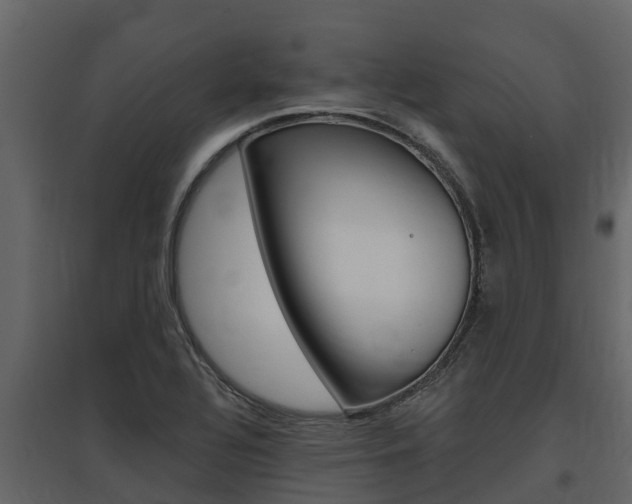 X0000097811320200803140750