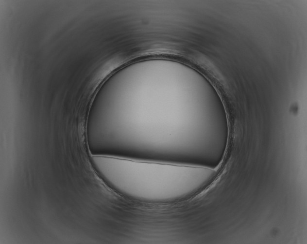X0000097811321200803140750
