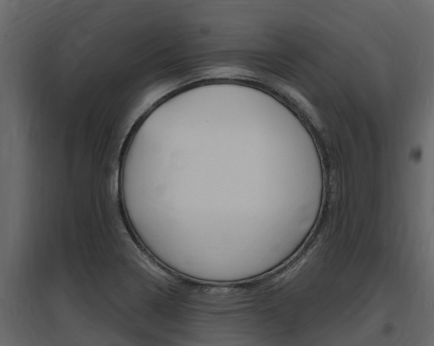X0000097811322200803140750