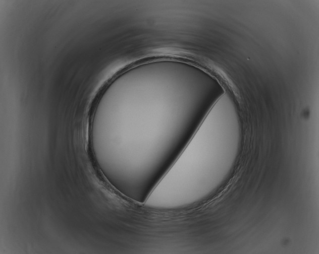 X0000097811323200803140750