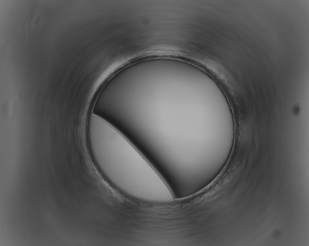 X0000097811325200803140750