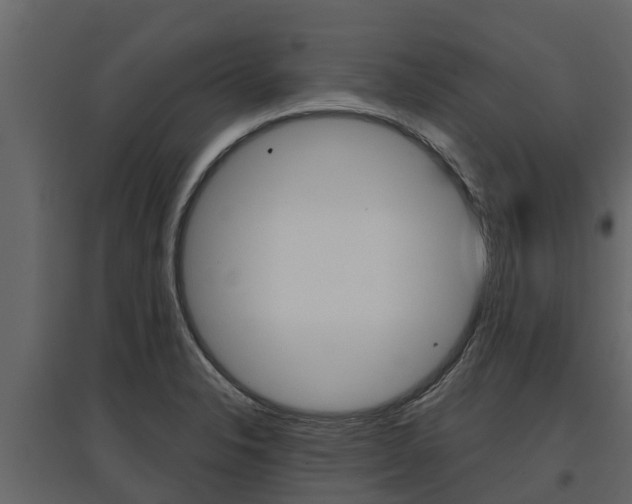 X0000097811326200803140750