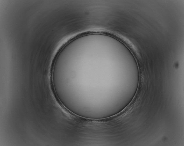 X0000097811327200803140750