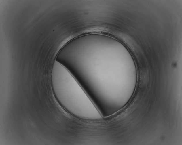 X0000097811329200803140750