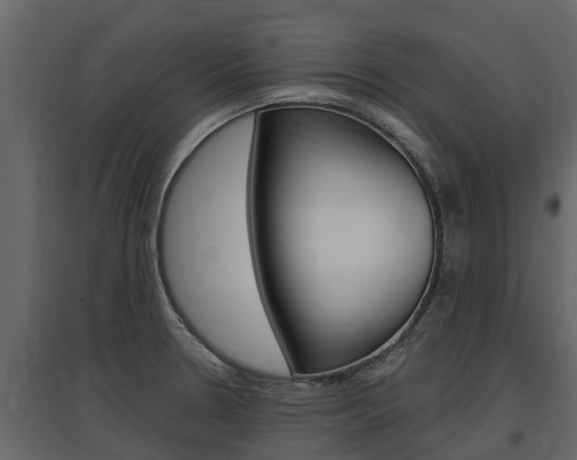 X0000097811330200803140750